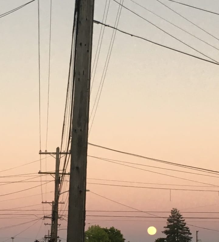 Photo of power lines and poles on street with dusky pink evening backdrop, treetops, and moon on lower right